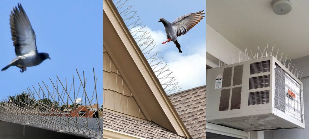 Bird Spikes in Hyderabad